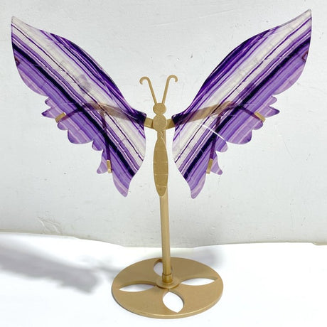 Beautiful Fluorite Symmetry Butterfly Wing With Stand -Wholesale Crystals