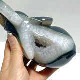 Beautiful Geode Agate Druzy Elephant Animal Carving - Wholesale Crystals