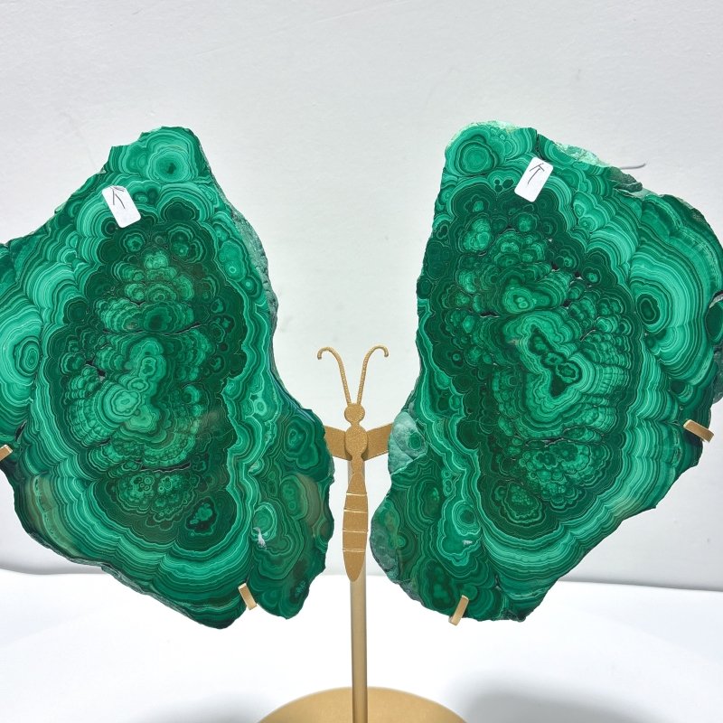 Beautiful Large Polished Malachite Raw Slab Butterfly Wing With Stand (#6) - Wholesale Crystals