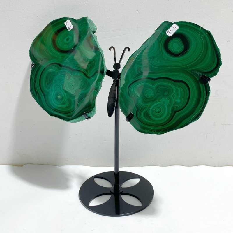 Beautiful Polished Malachite Slab Butterfly Wing With Stand (4) -Wholesale Crystals