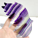 Beautiful Rainbow Fluorite Symmetry Owl Wing Carving With Stand -Wholesale Crystals