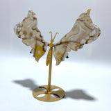 Beautiful Sakura Flower Agate Butterfly Wing Carving With Stand - Wholesale Crystals