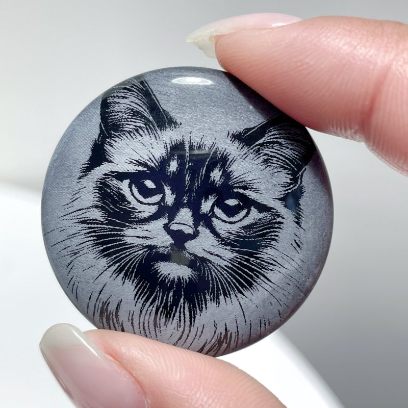 Black Obsidian Engraved Cat Round Slices DIY Accessories Wholesale - Wholesale Crystals