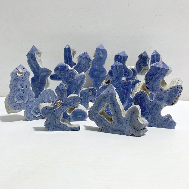 Blue Ridge Coral Heliopora Coerule Tower Point Wholesale -Wholesale Crystals