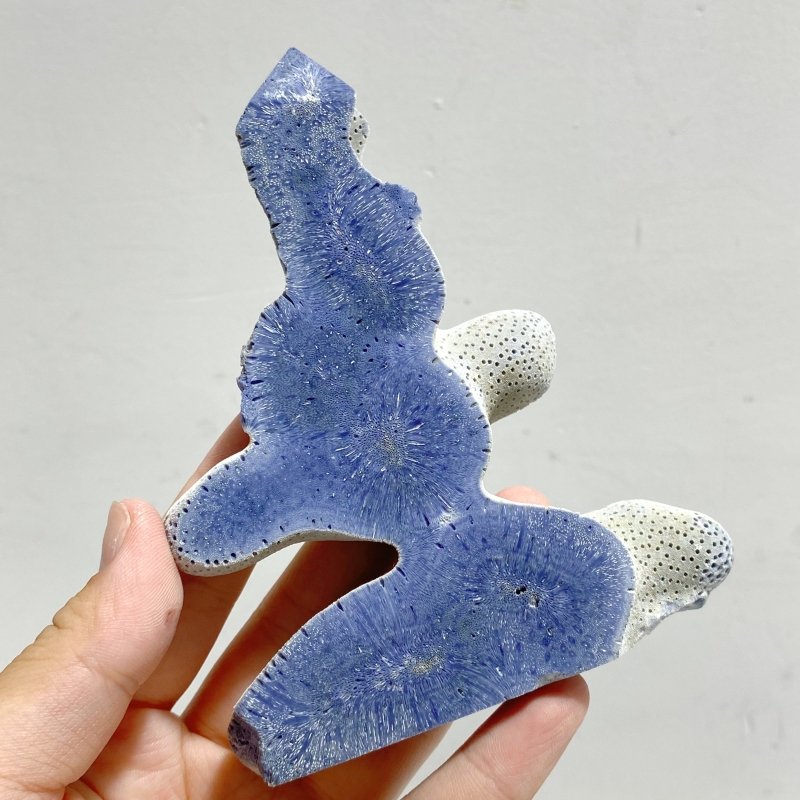 Blue Ridge Coral Heliopora Coerule Tower Point Wholesale -Wholesale Crystals