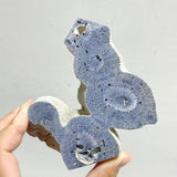 Blue Ridge Coral Heliopora Coerule Tower Point Wholesale -Wholesale Crystals