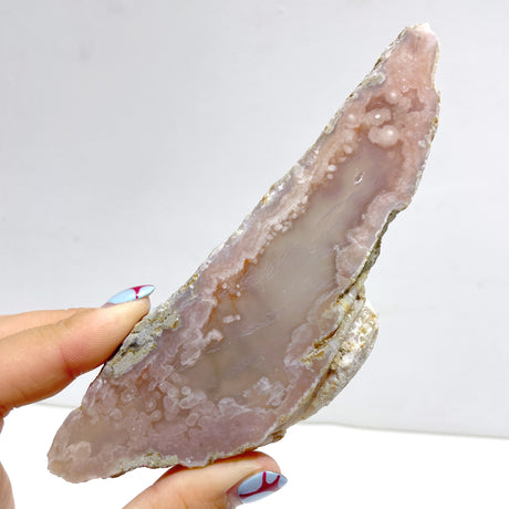 19 Pieces Sakura Flower Agate Slab