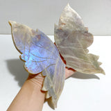 Moonstone Butterfly Wing Carving With Stand