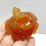 Carnelian Sea Turtle Carving Wholesale - Wholesale Crystals