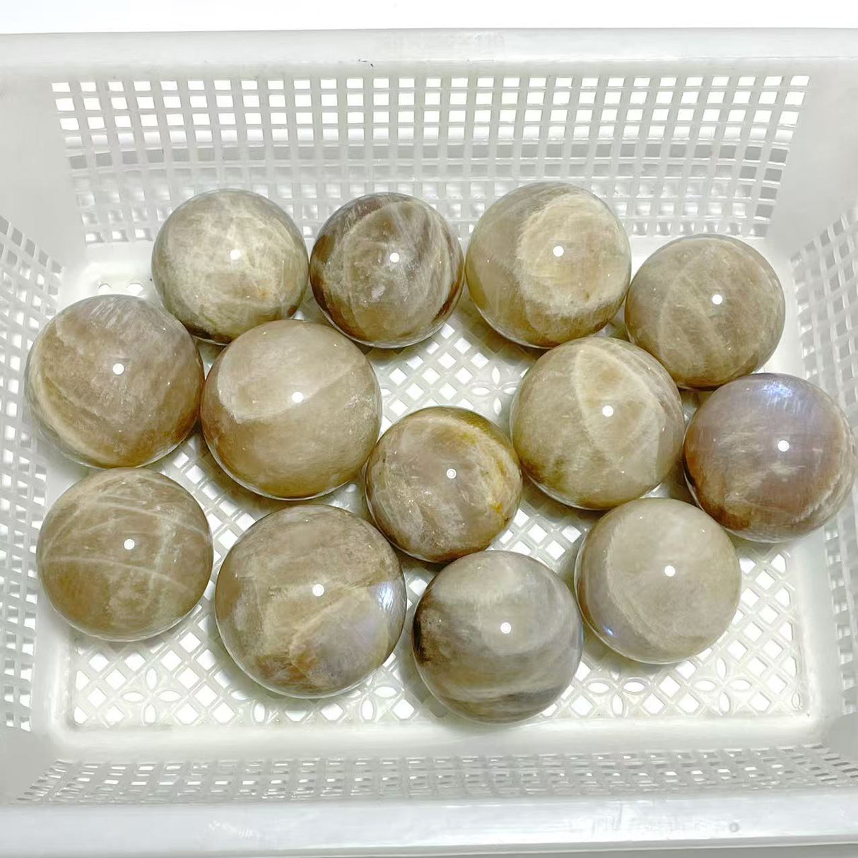 13 Pieces Blue Moonstone Spheres
