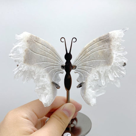 Clear Quartz Cluster Butterfly Wing With Stand Wholesale -Wholesale Crystals