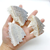 Clear Quartz Cluster Butterfly Wing With Stand Wholesale -Wholesale Crystals