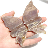 6 Pairs Sunstone Mixed Moonstone Butterfly Wing Carving With Stand
