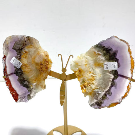 3 Pairs Fluorite Mixed Pyrite Butterfly Wing With Stand #7