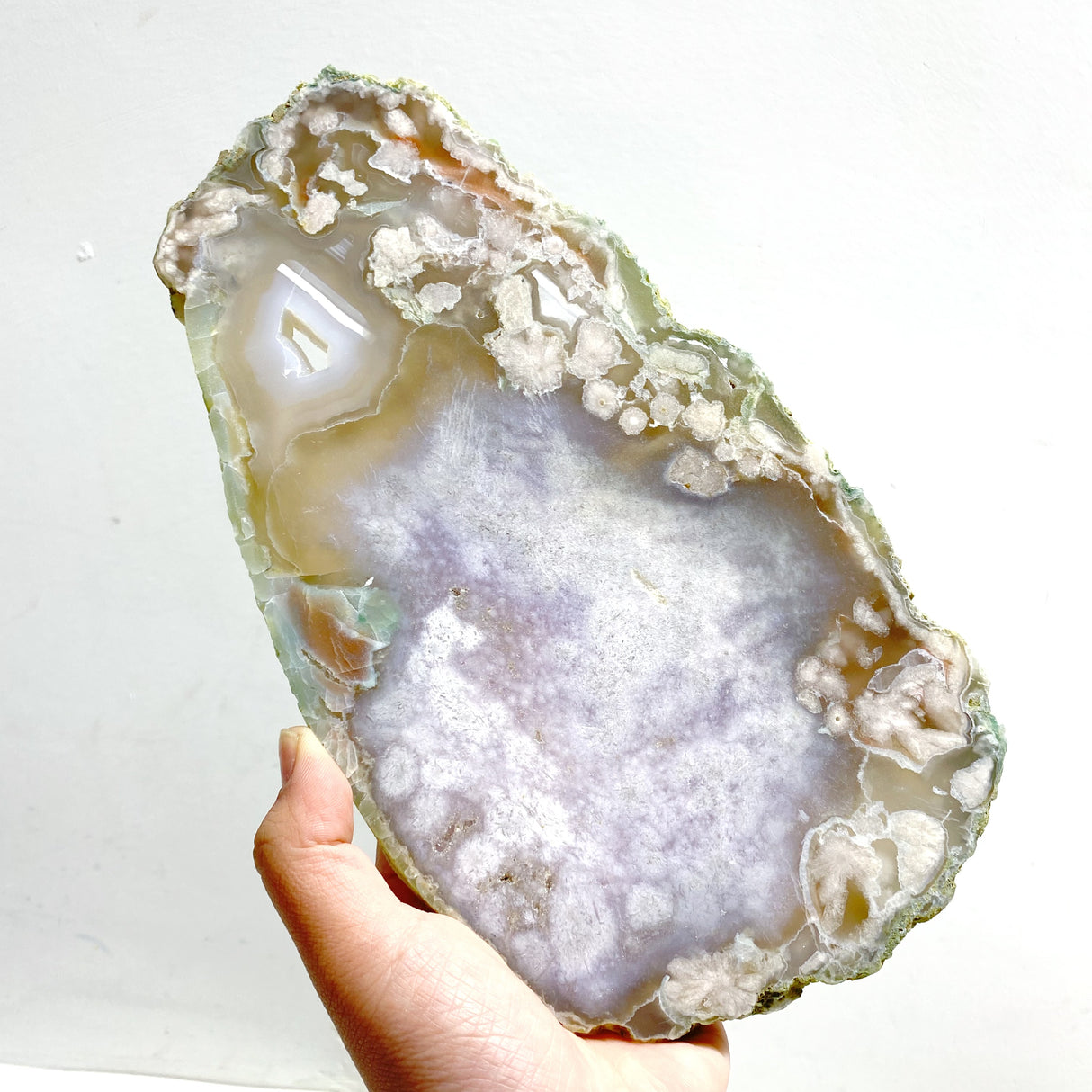 5 Pieces Beautiful Large Green Sakura Flower Agate Slabs