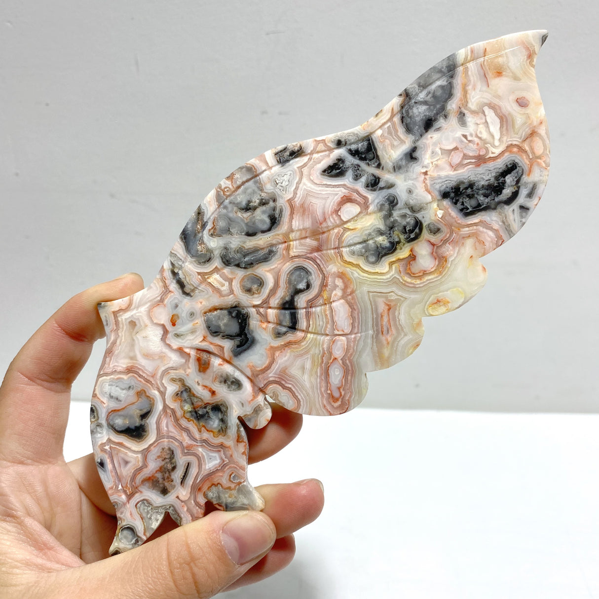 Unique Morocco Agate Butterfly Wing Carving With Stand