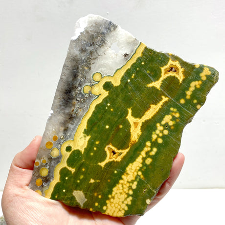 5 Pieces Large 8th Vein Ocean Jasper Slabs