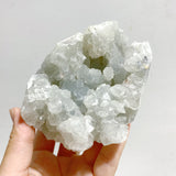 6 Pieces Raw Apophyllite Mineral Specimen