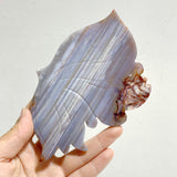 Beautiful Symmetric Agate Butterfly Wing Carving With Stand