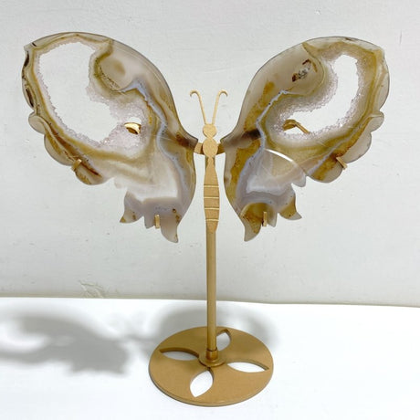Geode Druzy Agate Butterfly Wing Carving With Stand -Wholesale Crystals