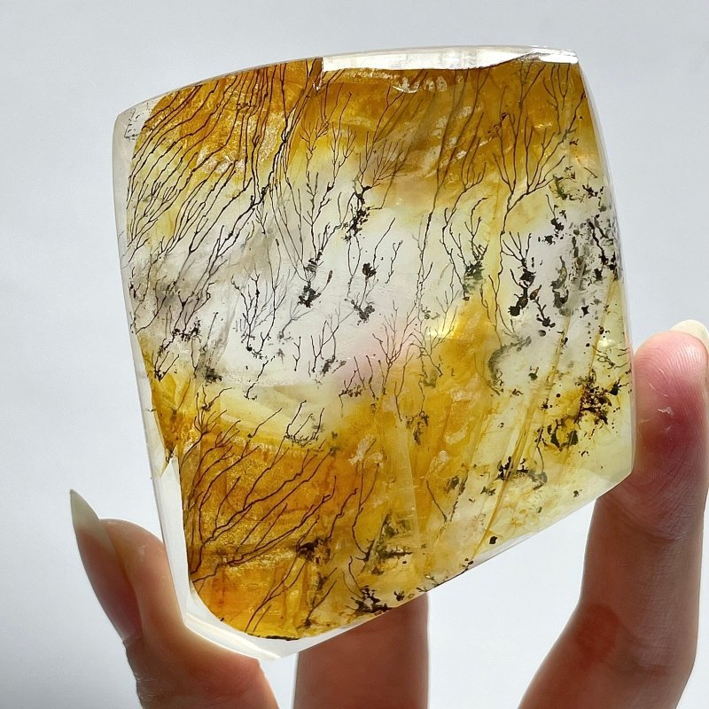 Golden Hematoid Crystal Mixed Pyrolusite Tree Free Form - Wholesale Crystals