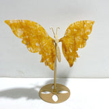 Golden Hematoid Quartz Fire Quartz Butterfly Wing Carving With Stand - Wholesale Crystals