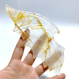 Hematoid Quartz Golden Fire Quartz Demon And Angel Wing Carving With Stand - Wholesale Crystals