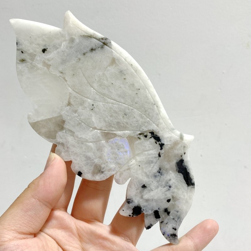 India Moonstone Butterfly Wing Carving With Stand -Wholesale Crystals