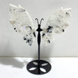 India Moonstone Butterfly Wing Carving With Stand -Wholesale Crystals