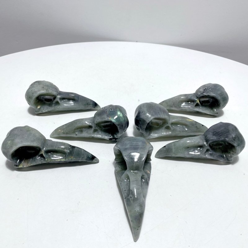 Labradorite Crow Skull Carving Wholesale - Wholesale Crystals