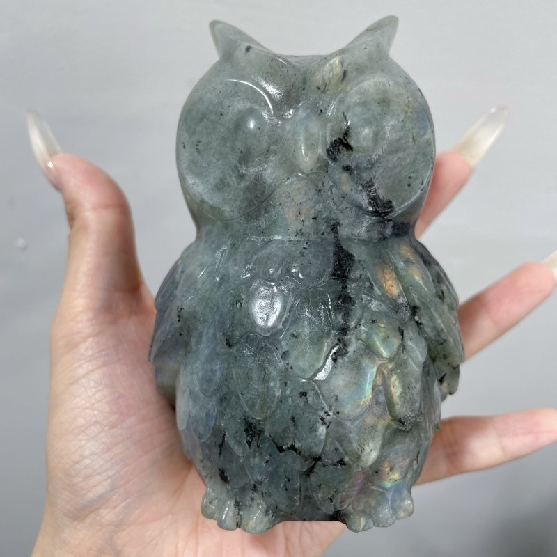 Large Labradorite Owl Carving Wholesale - Wholesale Crystals