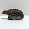 Large Ocean Jasper Lizard Carving 4 -Wholesale Crystals