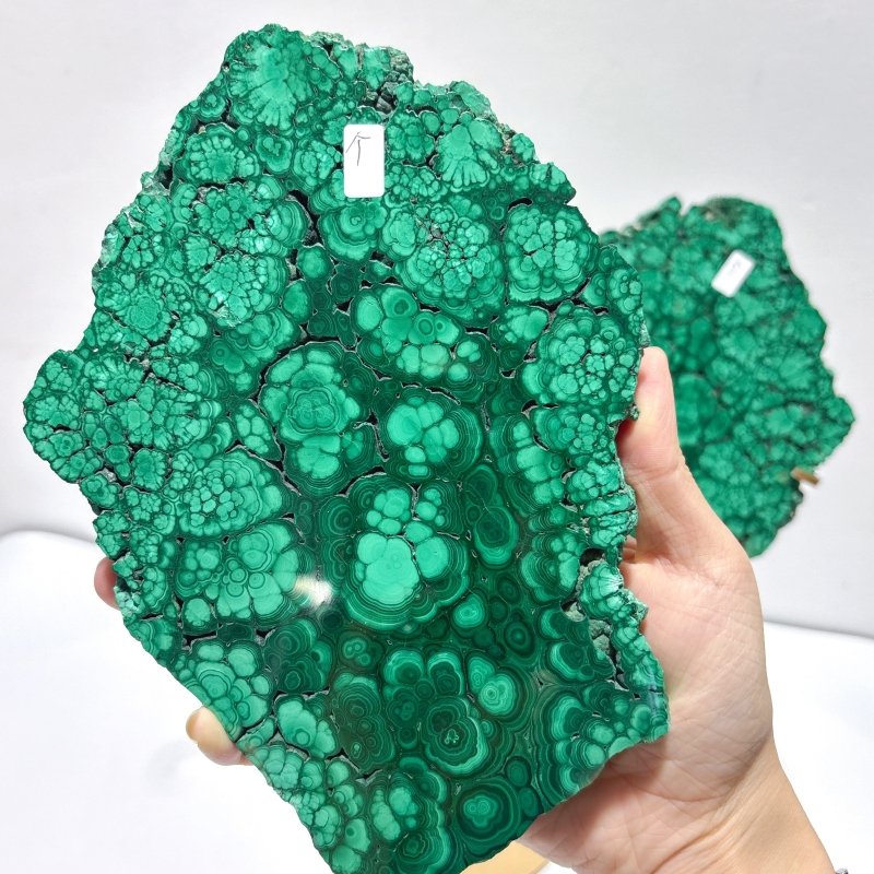 Large Polished Malachite Raw Slab Butterfly Wing With Stand (#4) - Wholesale Crystals