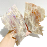 Moonstone Butterfly Wing Carving With Stand -Wholesale Crystals