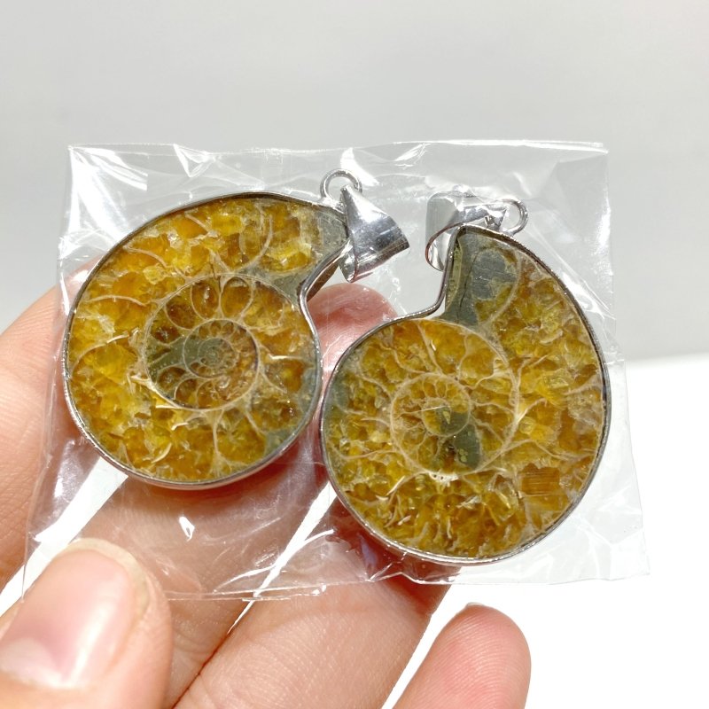 Natural Ammonite Fossil Conch Pendants Wholesale - Wholesale Crystals