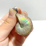 Natural Ammonite Fossil Conch Pendants Wholesale - Wholesale Crystals