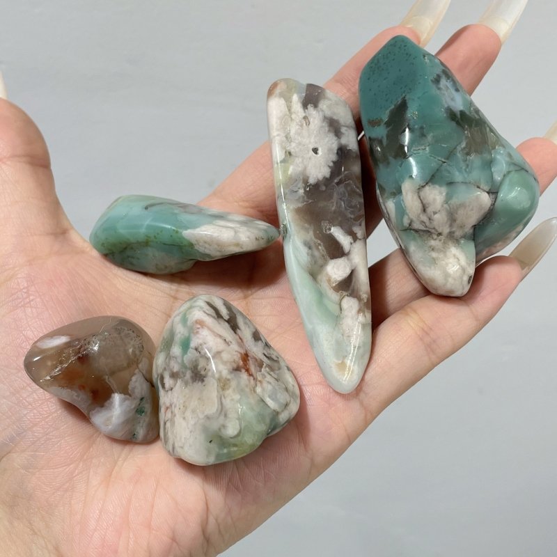 Polished Green Sakura Flower Agate Free Form Mixed Size Wholesale - Wholesale Crystals