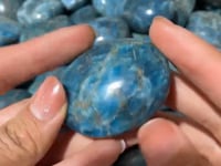 Apatite Palm Wholesale