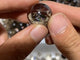 Small Smoky Quartz Spheres With Rainbow