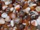 Carnelian Mixed Quartz Heart Wholesale -Wholesale Crystals