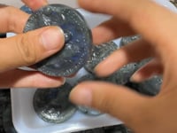 Labradorite Twelve Constellations Carving Wholesale