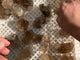 55 Pieces High Quality Gold Rutile Quartz Raw Stone