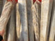 Natural Moonstone Scepter Point Magic Wand Wholesale -Wholesale Crystals