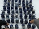 62 Pieces Sodalite Standing Polar Bear Carving