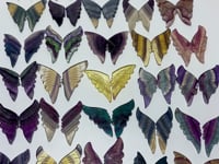 30 Pairs Rainbow Fluorite Butterfly Carving (A3BTF)