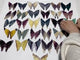 31 Pairs Rainbow Fluorite Butterfly Carving (A1BTF)