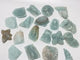 19 Pieces Caribbean Calcite Marine Animals Carving