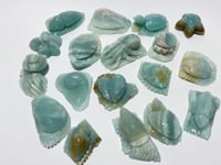 18 Pieces Caribbean Calcite Sea Animals Carving Wholesale