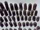 46 Pieces Amethyst Cluster Points