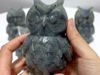 Large Labradorite Owl Carving Wholesale